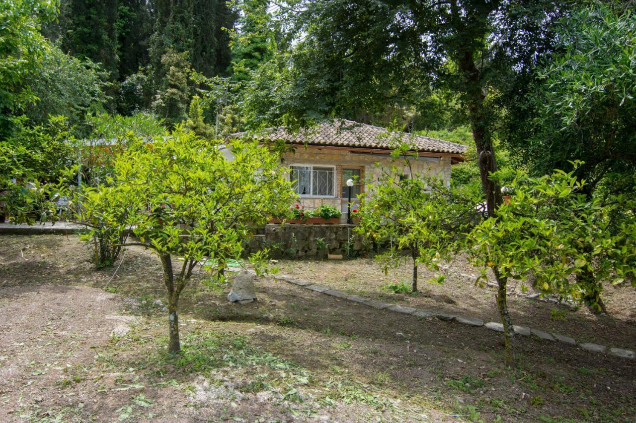 Corfu Town Mini Private Pool Gardens Mantouki