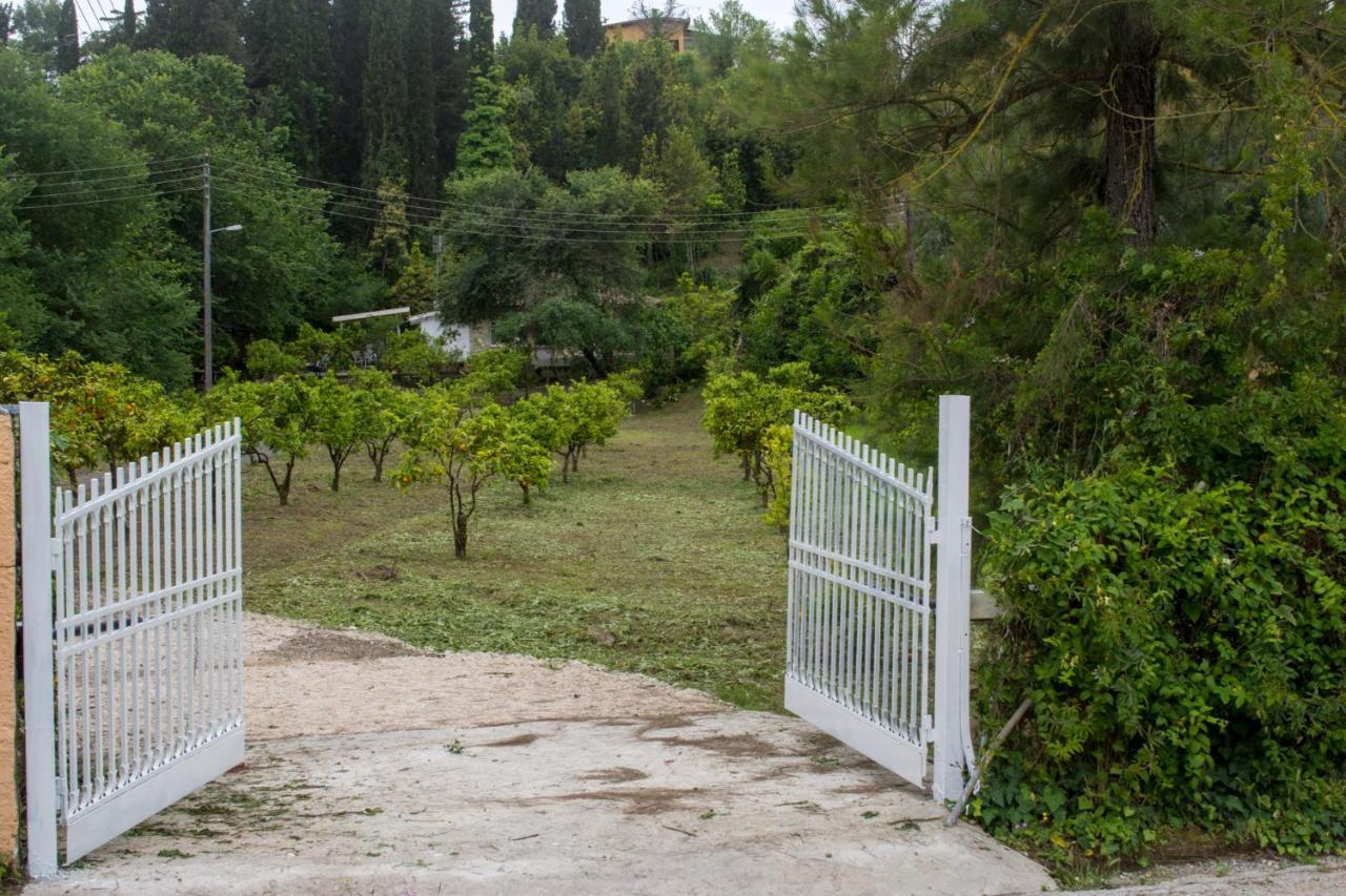 Corfu Town Mini Private Pool Gardens Villa *