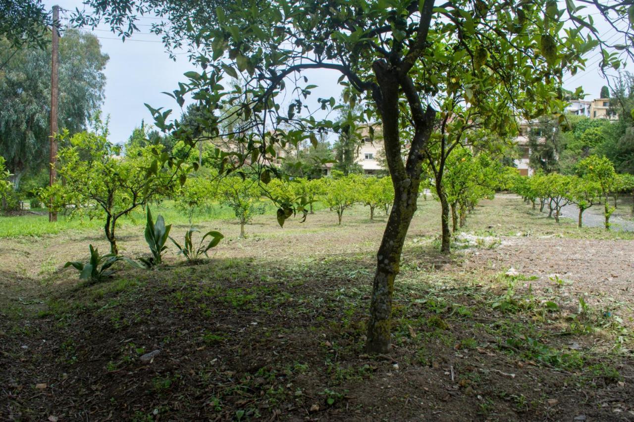 Corfu Town Mini Private Pool Gardens * Mantouki